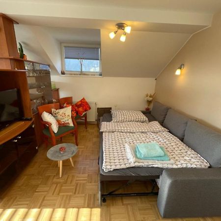 Apartment Kranj - Huge Terrace, Free P, Wi - Fi, Ac Eksteriør bilde