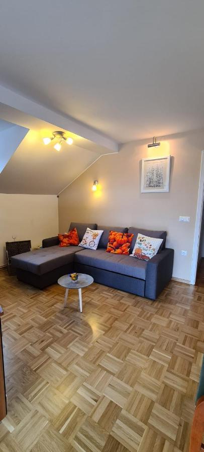Apartment Kranj - Huge Terrace, Free P, Wi - Fi, Ac Eksteriør bilde