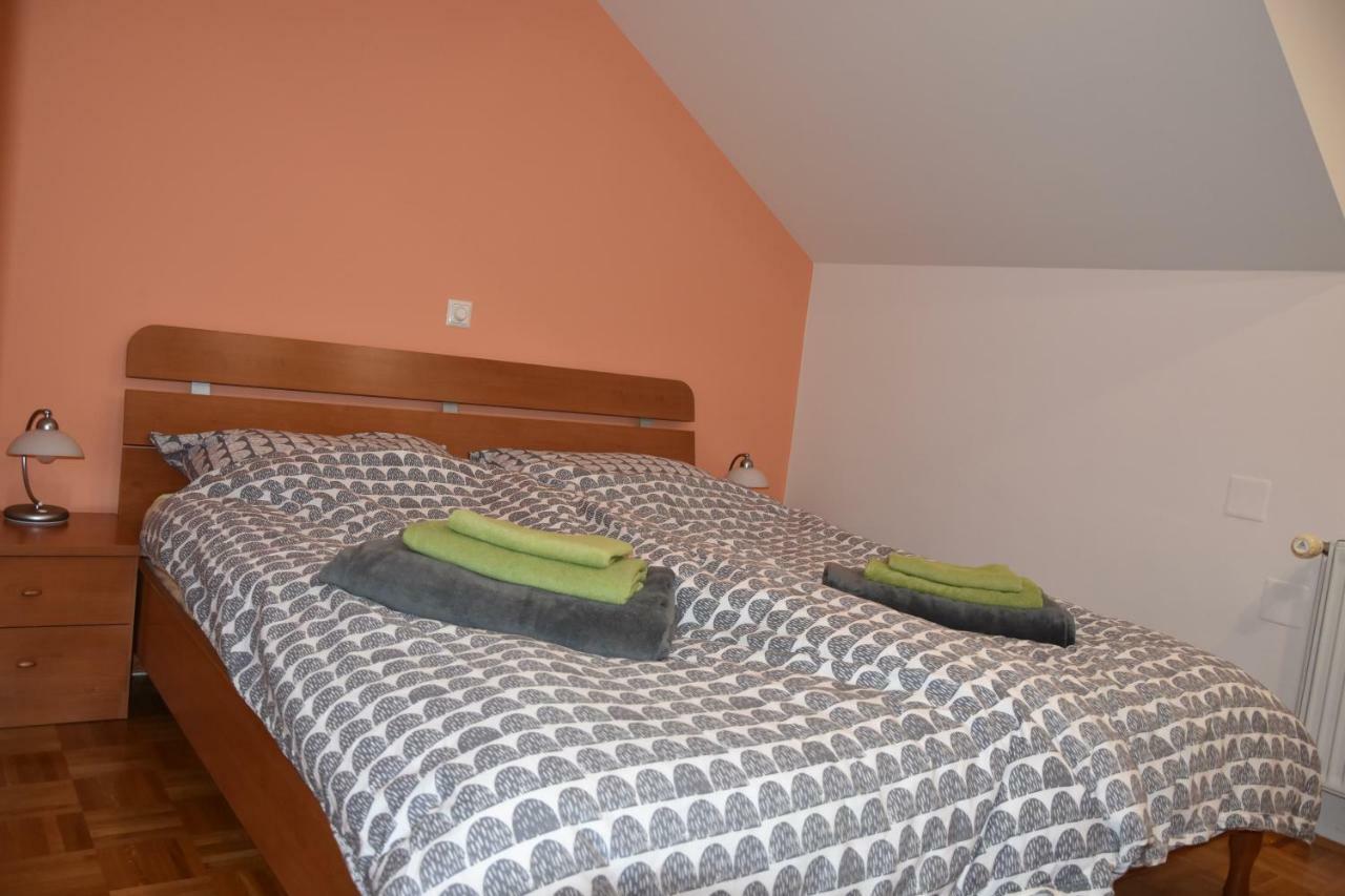 Apartment Kranj - Huge Terrace, Free P, Wi - Fi, Ac Eksteriør bilde